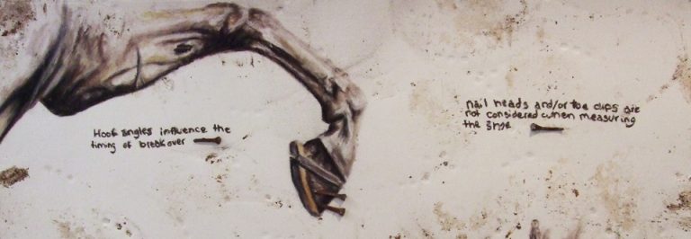 horseshoes