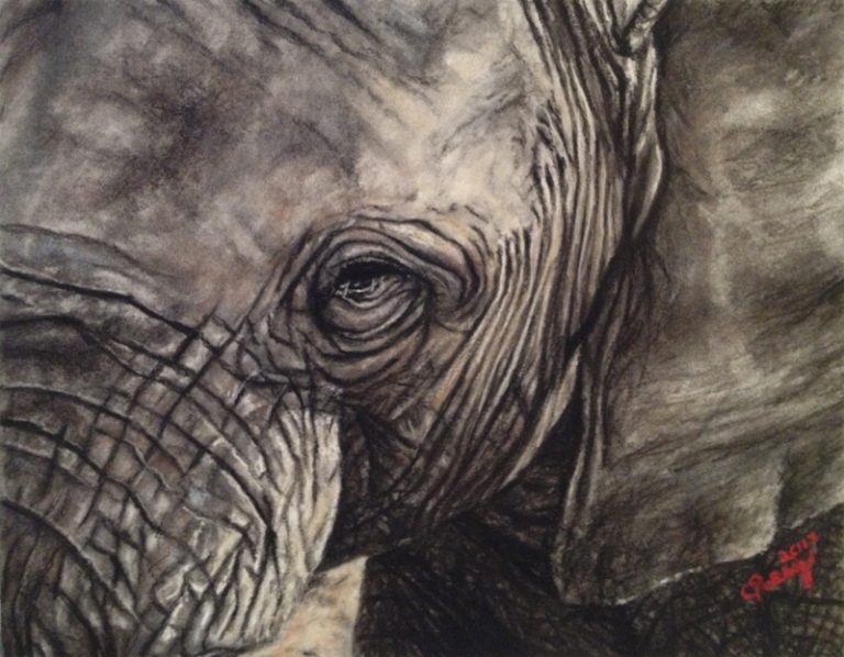 Elephant, 2012