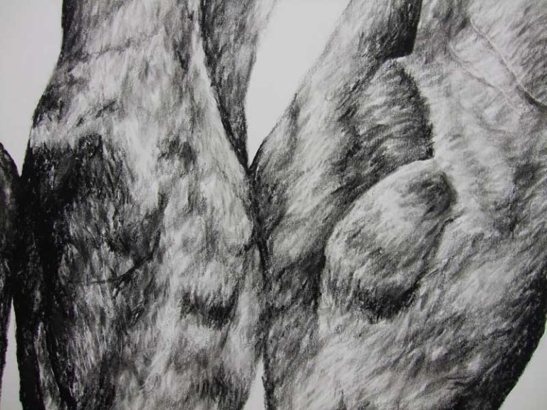 Friend or Foe, 2013  (close up)