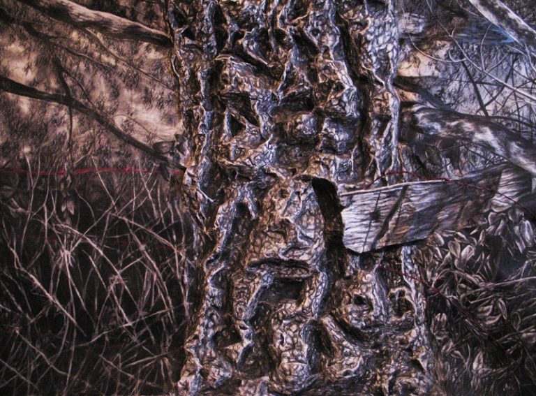 Hallow Tree, 2008