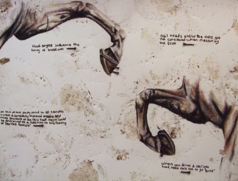 Horseshoes, 2010