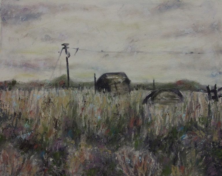 Indian Head Pairie Grass, 2011