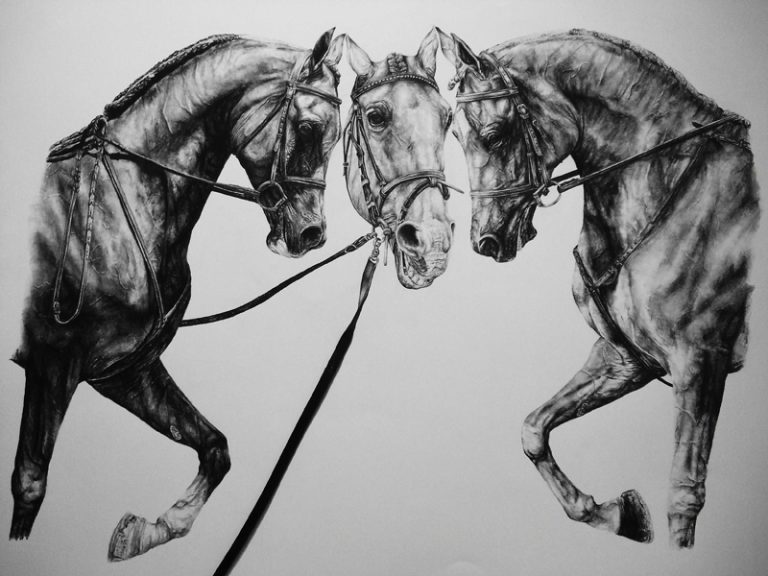 Your Best is Not Good Enough, 2013  (close up)