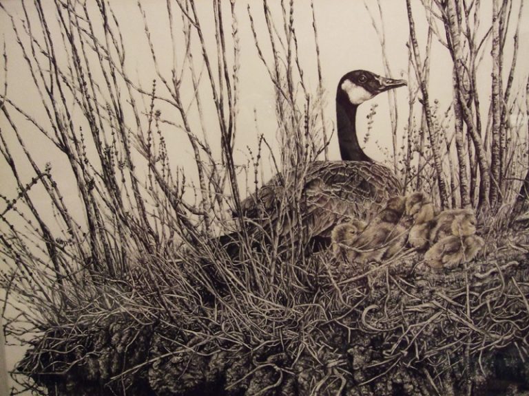 Quiet, 2013