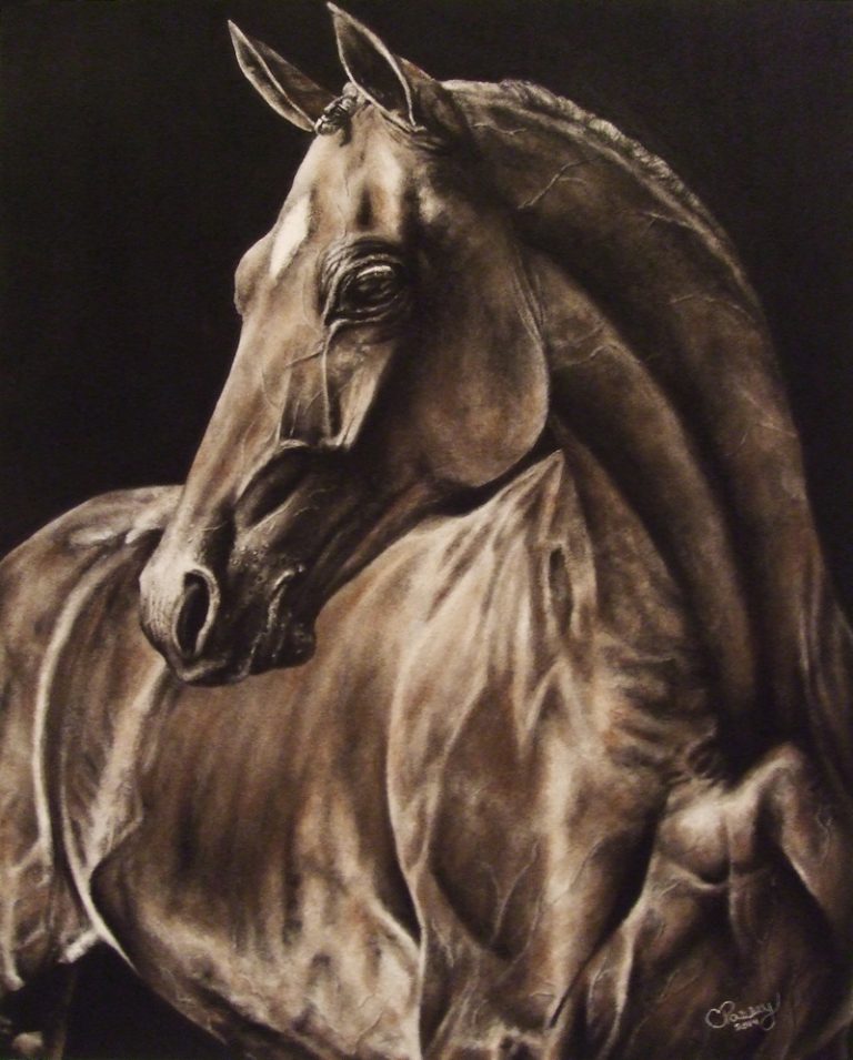 Tequila Sunrise, 2014